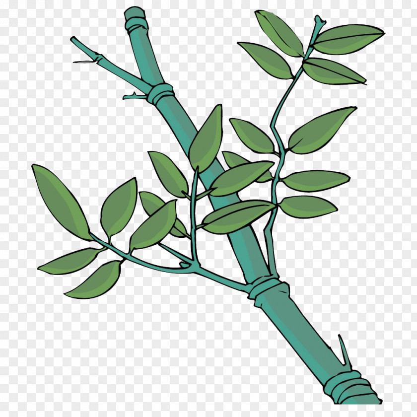 Bamboo Leaf Cartoon PNG