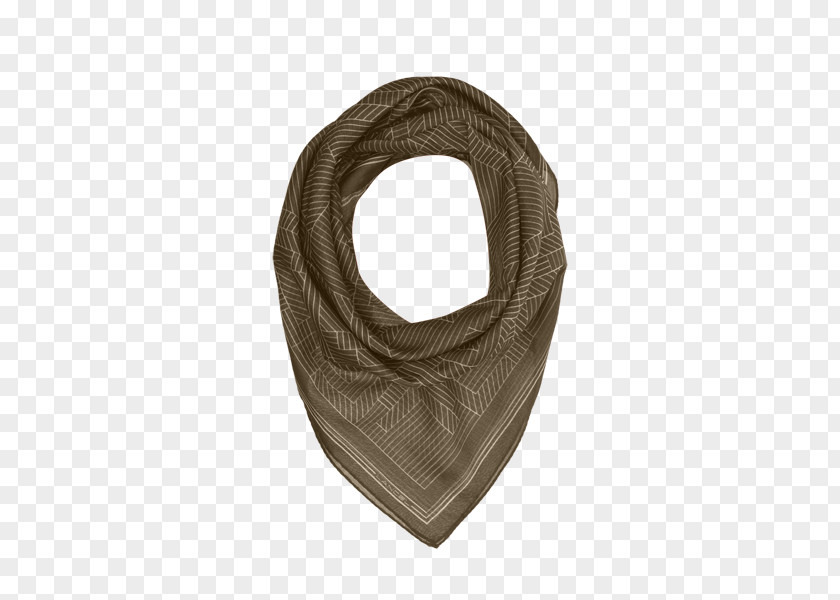 Belt Scarf Lancel PNG