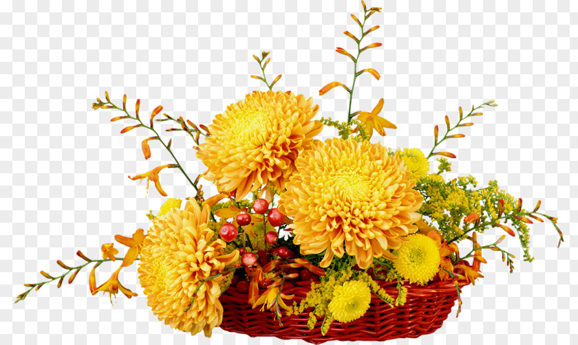 Chrysanthemum Clip Art Desktop Wallpaper Flower PNG
