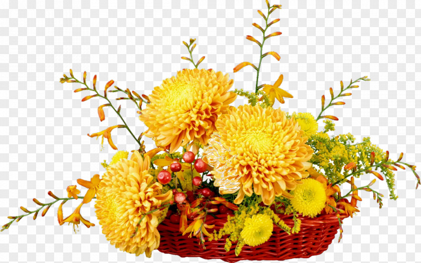 Chrysanthemum Floristry Cut Flowers Nosegay PNG