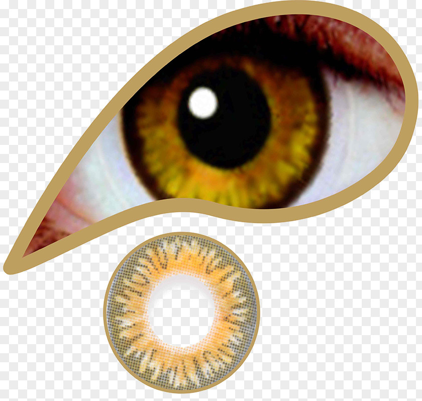 Eye Contact Lenses Circle Lens Brown Color PNG