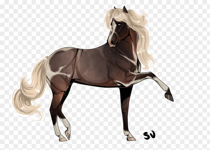 Mustang Stallion Mare Rein Bridle PNG