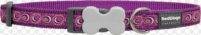 Red Collar Dog Cat Dingo Jewellery PNG