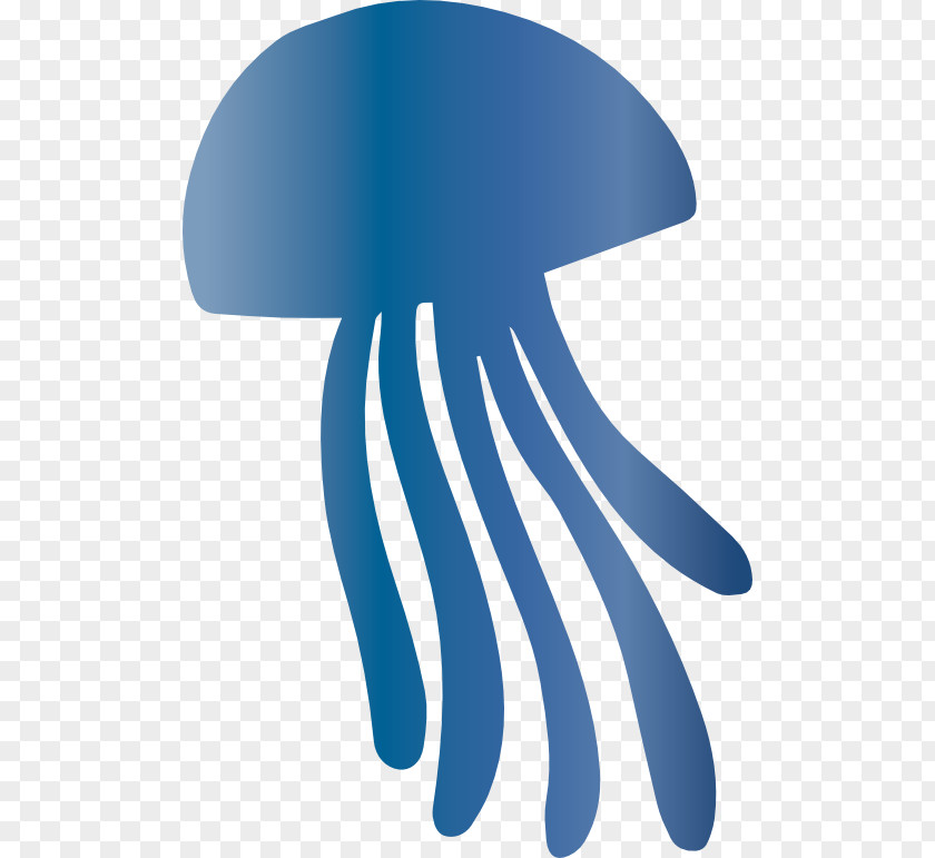 Box Jellyfish Drawing Clip Art PNG