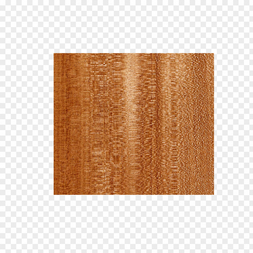 Ebony Wood Physical Map Plywood Stain Varnish Rectangle Place Mats PNG