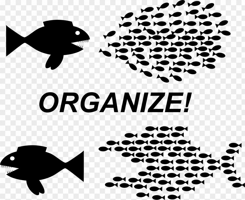 Fish Organization Clip Art PNG