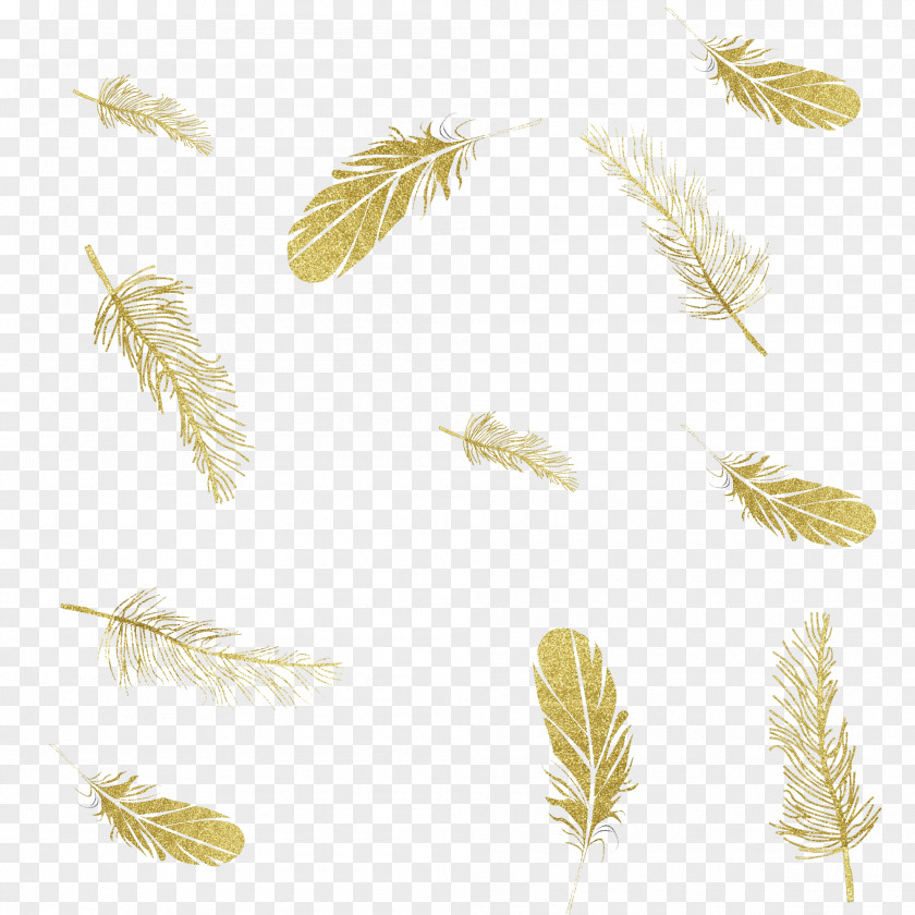 Golden Feather Floating Material Matting Free Ink PNG
