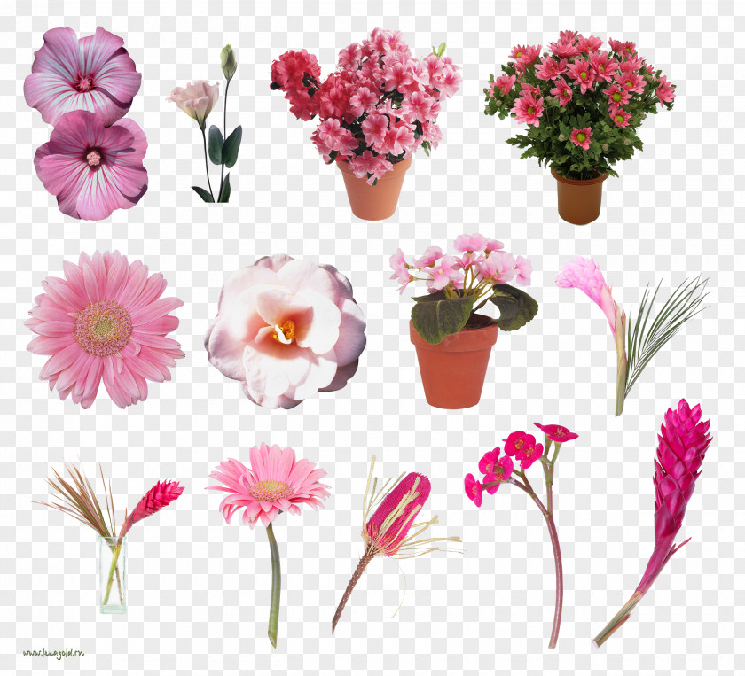 Lavander Cut Flowers Floral Design Artificial Flower PNG