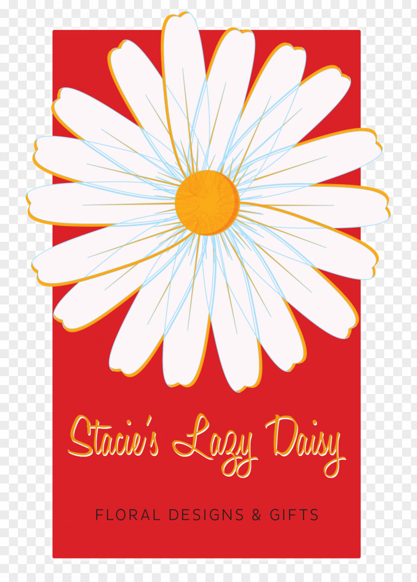 Lazy Personality Stacie's Daisy Floral Designs & Gifts Cut Flowers Floristry PNG
