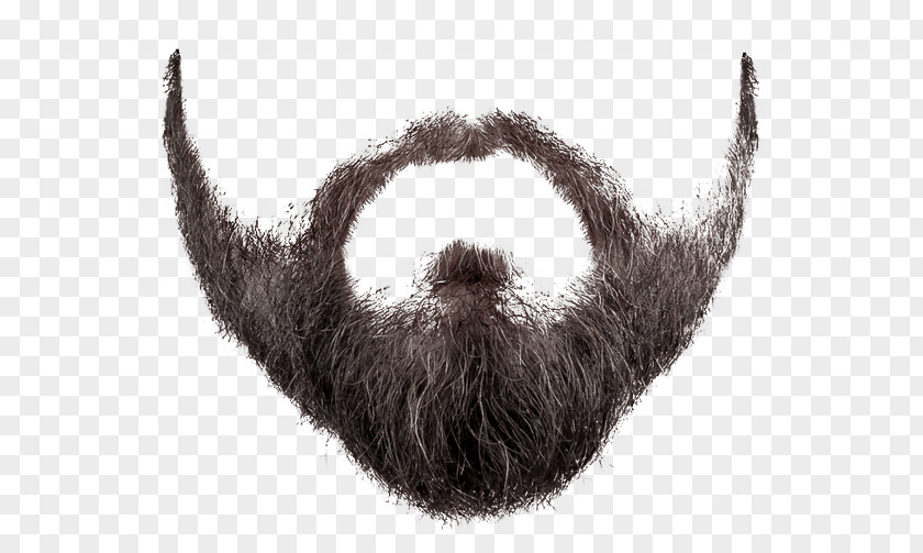 Mustache Beard Clip Art PNG