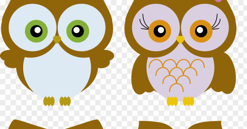 Owl Drawing Cartoon PNG