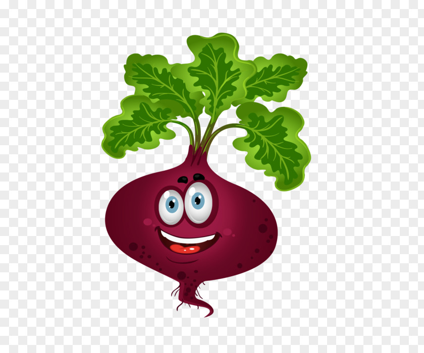 Vegetable Beetroot Clip Art PNG