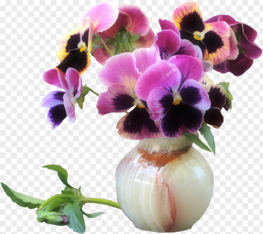 Viola Tricolor Desktop Wallpaper Still Life Color PNG