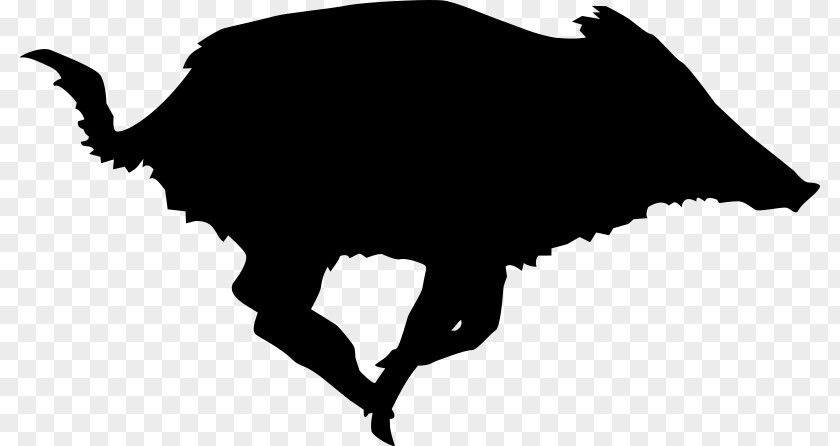 Xii Boar Domestic Pig Feral Clip Art PNG