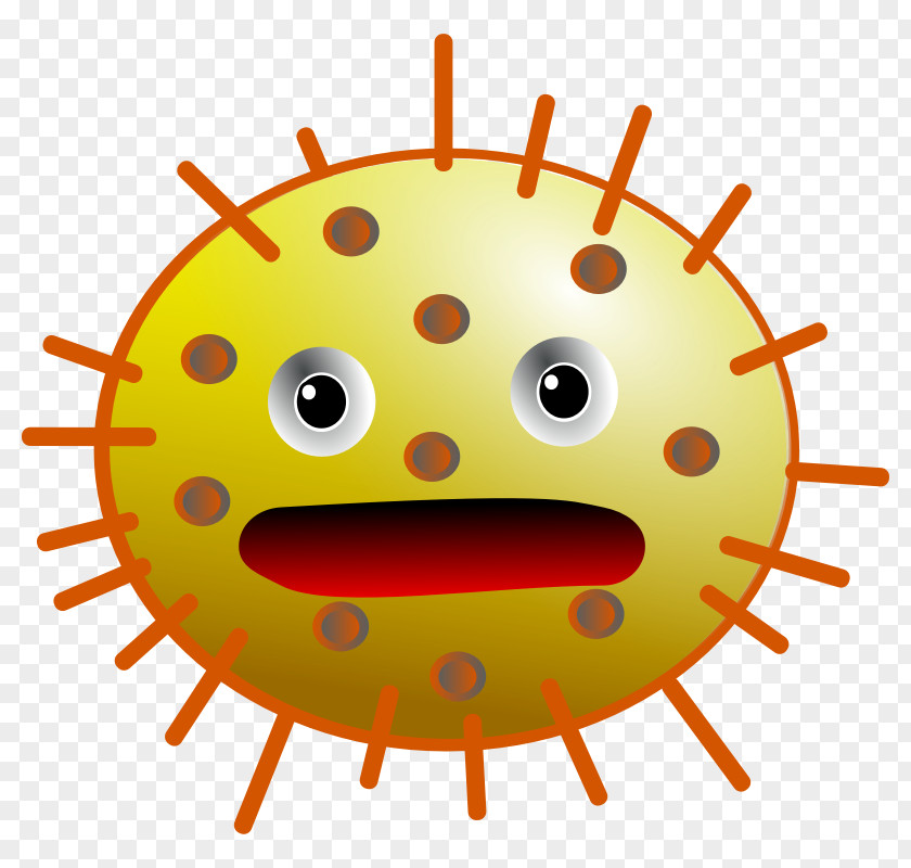 Bacteria Download Clip Art PNG