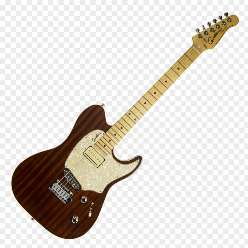 Bass Guitar Electric Godin Fender Stratocaster PNG