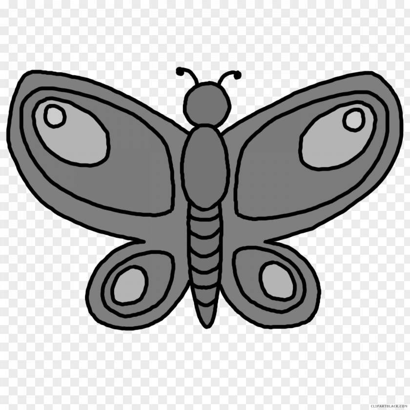 Butterfly Clip Art Drawing Image Line PNG