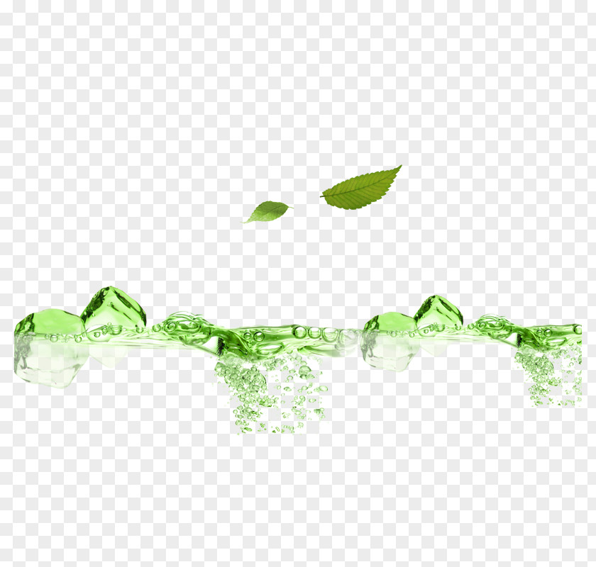 Green Modern Plant Decoration PNG