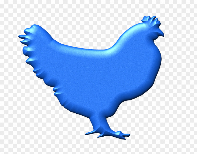 Hens Chicken Bird Rooster Blue PNG