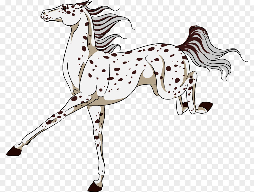 Mustang Pony Canidae American Paint Horse Art PNG