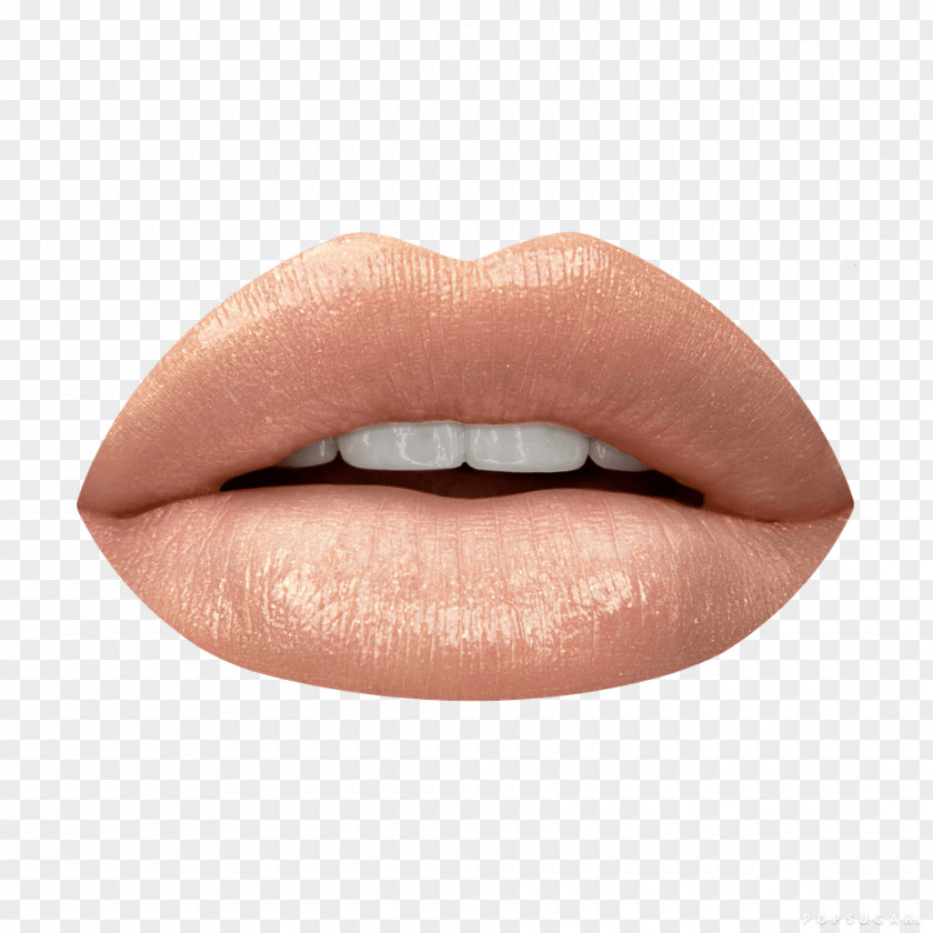 Posh Cosmetics Lip Gloss Color Beauty PNG