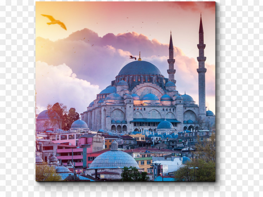 Travel 2017 Block Of Wikipedia In Turkey Medical Tourism Country PNG