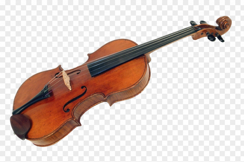 Beautiful Violin Bass Musical Instrument PNG