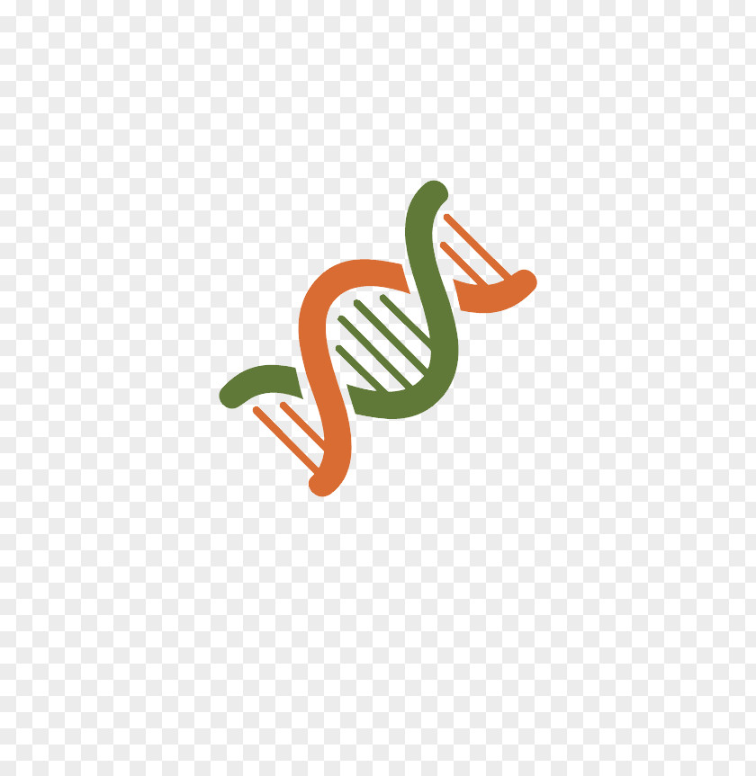 Dna Phenotyping DNK Download Clip Art PNG