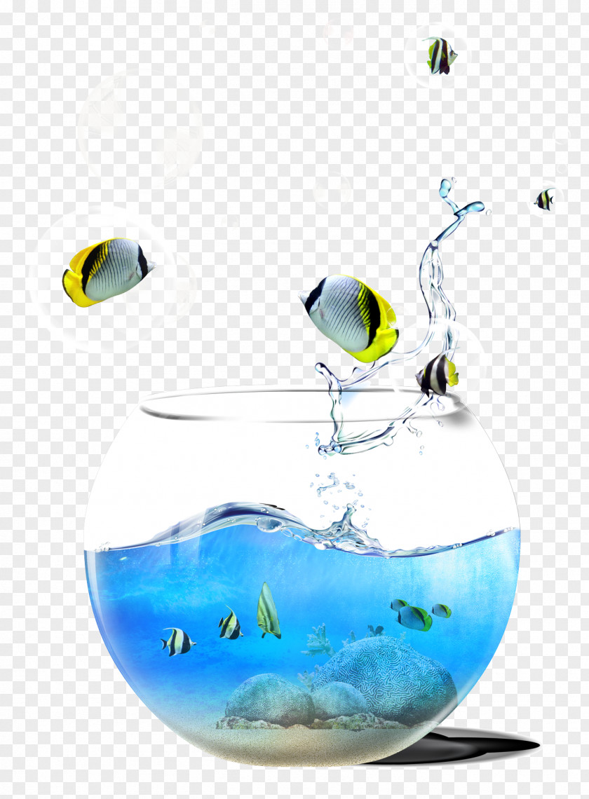 Fish Tank Background Material PNG