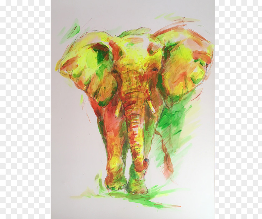 Painting Indian Elephant Watercolor Elephantidae PNG