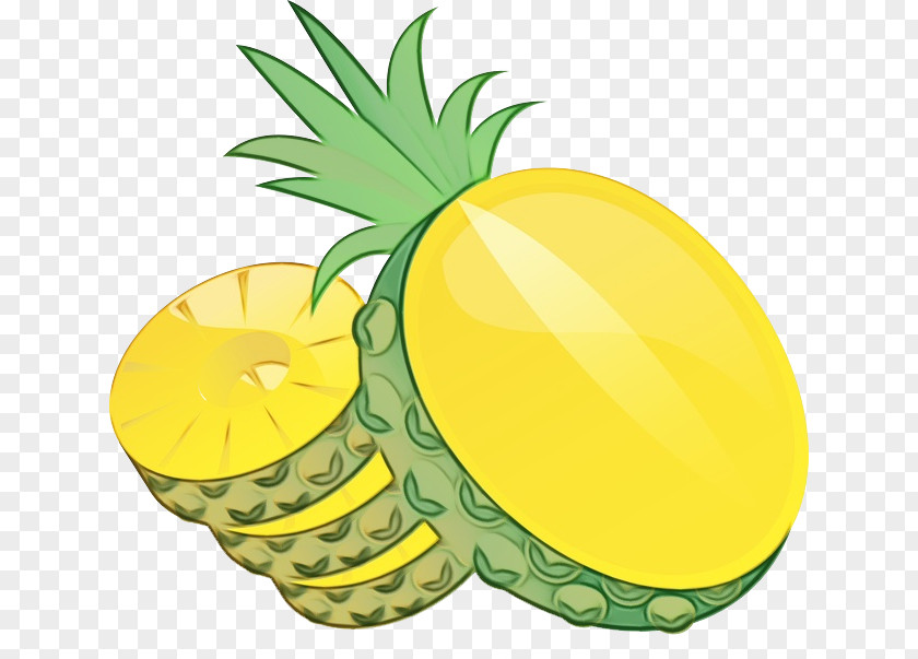 Palm Tree Lemon Cartoon PNG