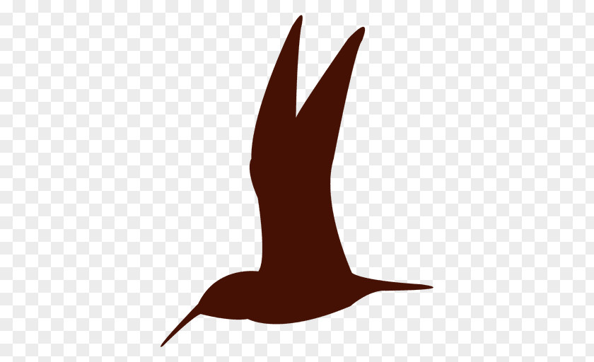 Silhouette Hummingbird PNG