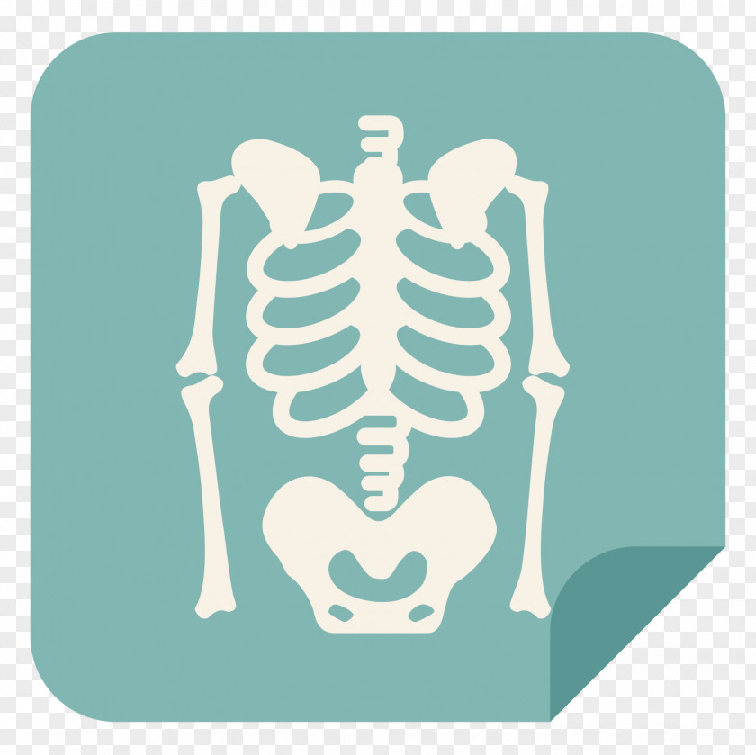 Skull Human Skeleton Rib Cage PNG