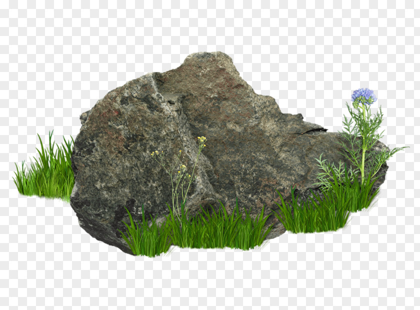 The Stone In Bushes Clip Art PNG