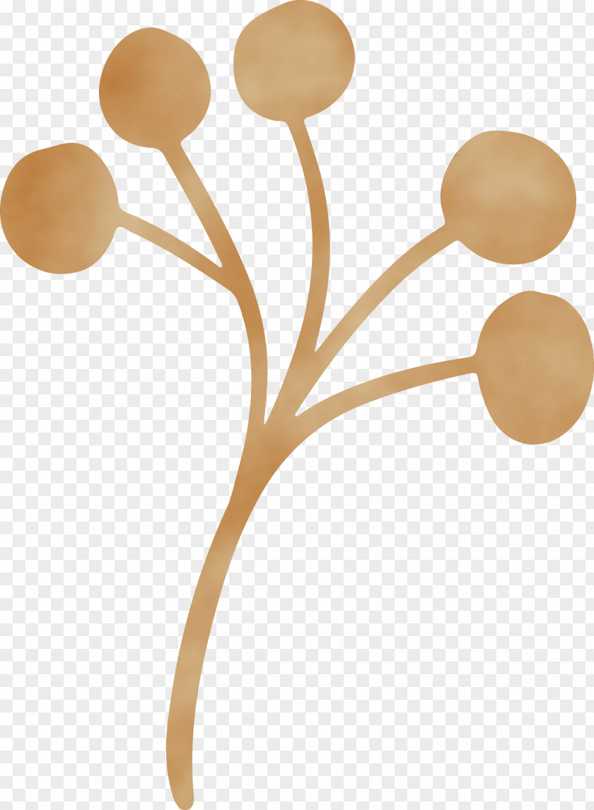 Wooden Spoon PNG