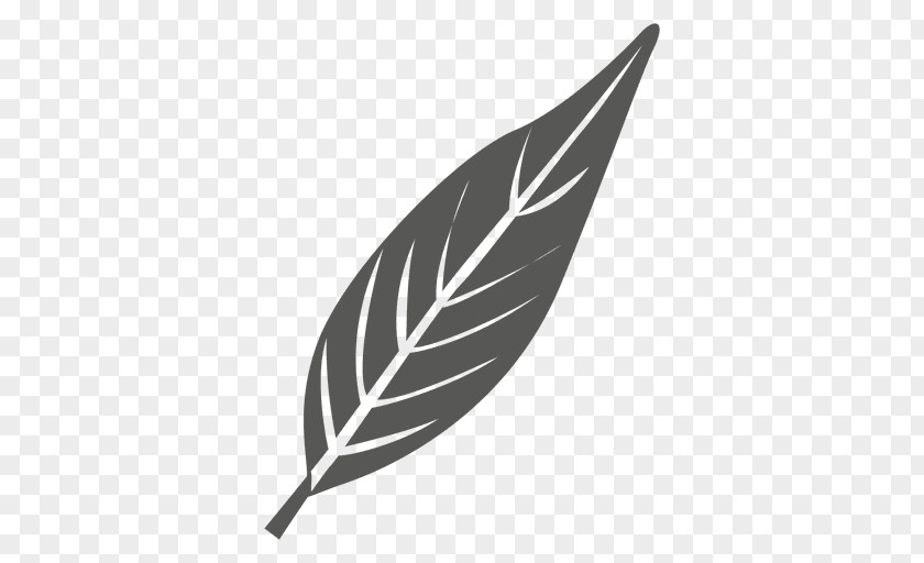 Writing Implement Wing Leaf Logo PNG
