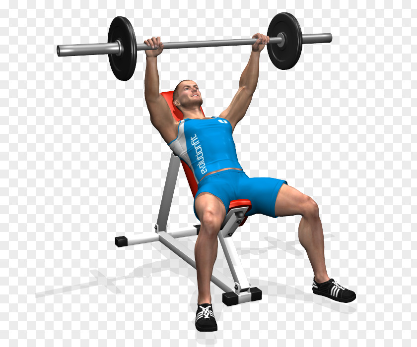 Barbell Bench Press Triceps Brachii Muscle Exercise PNG