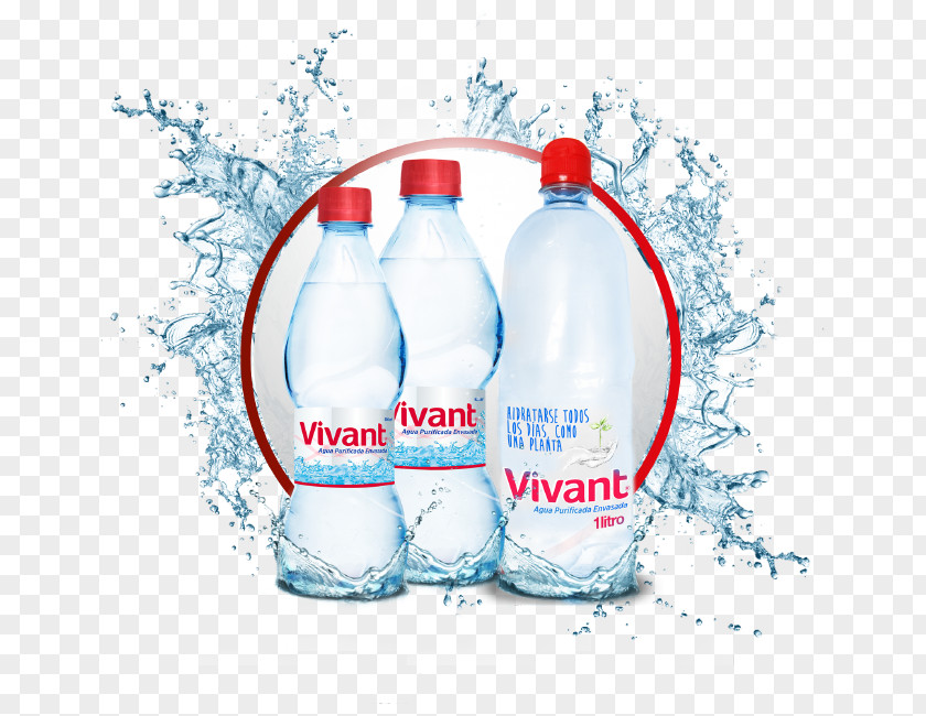Bottle Water Bottles Mineral Bottled PNG