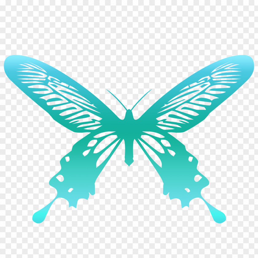 Butterfly Photography White Illustration PNG