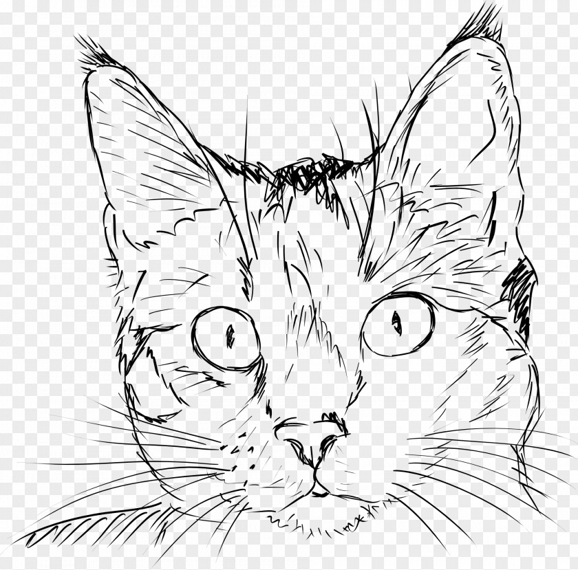 Clipart Cat Face Line Art Draw Cats Drawing Sketch Kitten PNG