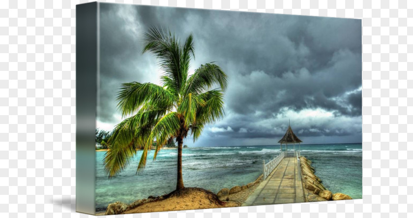 Half Moon Bay California Caribbean Gallery Wrap Picture Frames Painting PNG