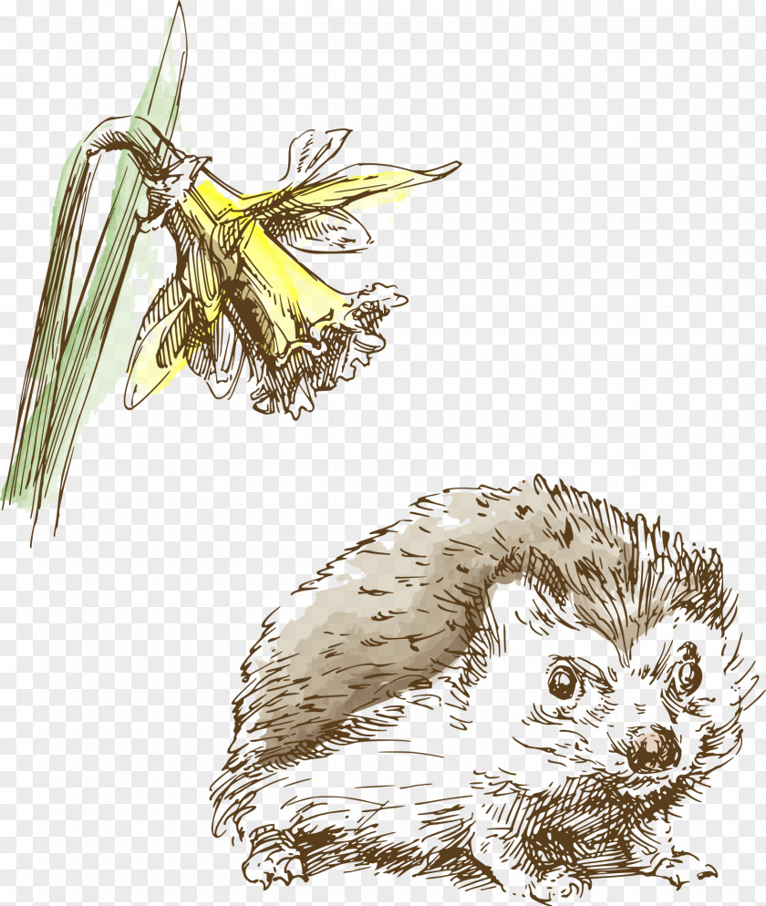 Hand-painted Flowers And Wild Hedgehog Drawing Illustration PNG