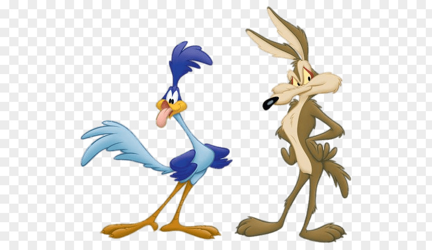 Loney Tunes Wile E. Coyote And The Road Runner Looney PNG