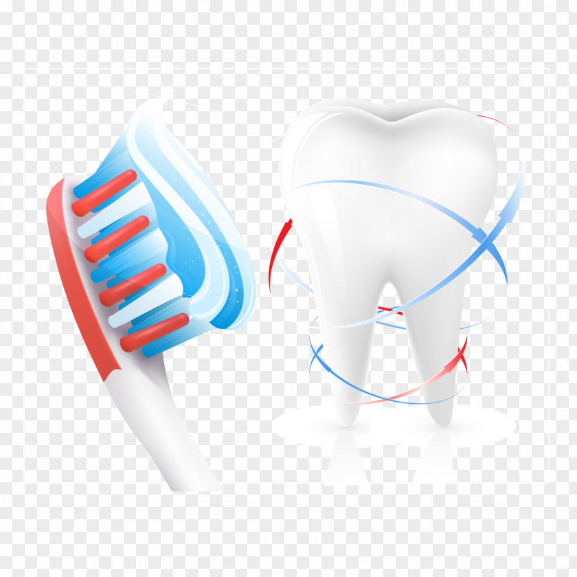 Protect Teeth Dentistry Toothbrush Human Tooth PNG