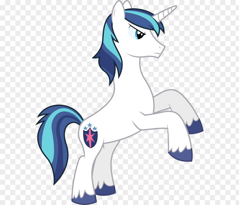 Shiny Vector Pony Shining Armor Twilight Sparkle Character PNG