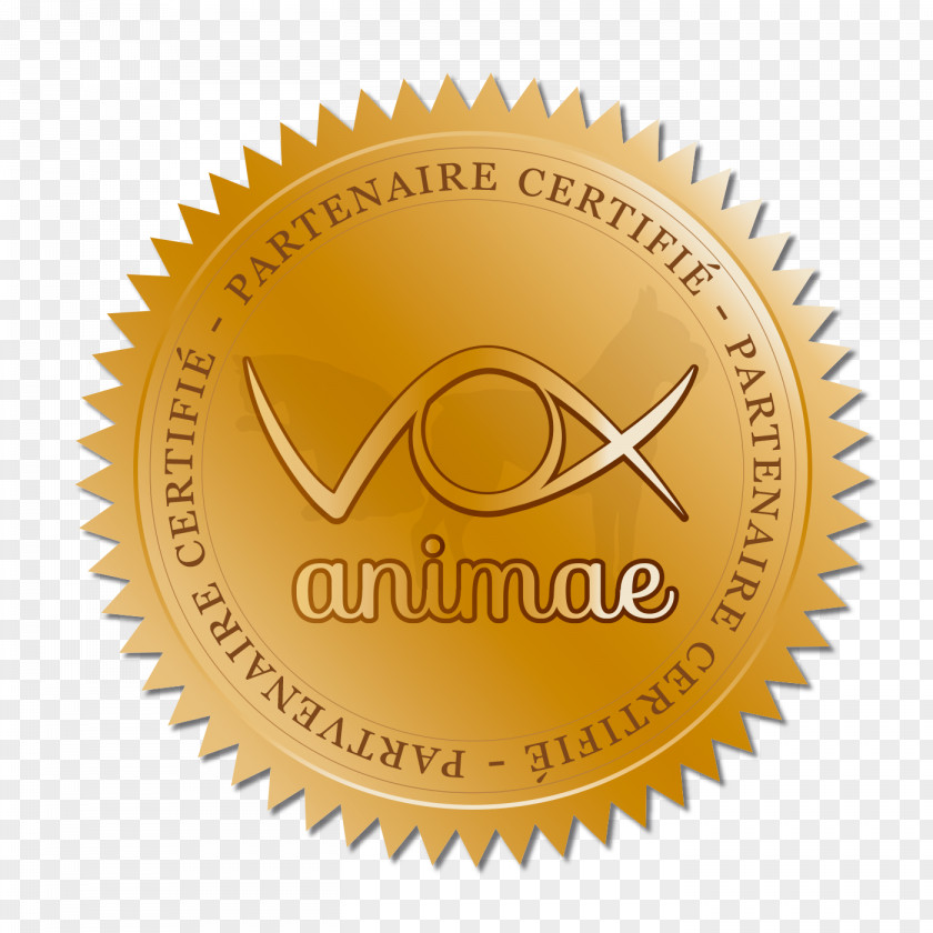 Animae Infographic Stock Photography Royalty-free Vector Graphics Image PNG