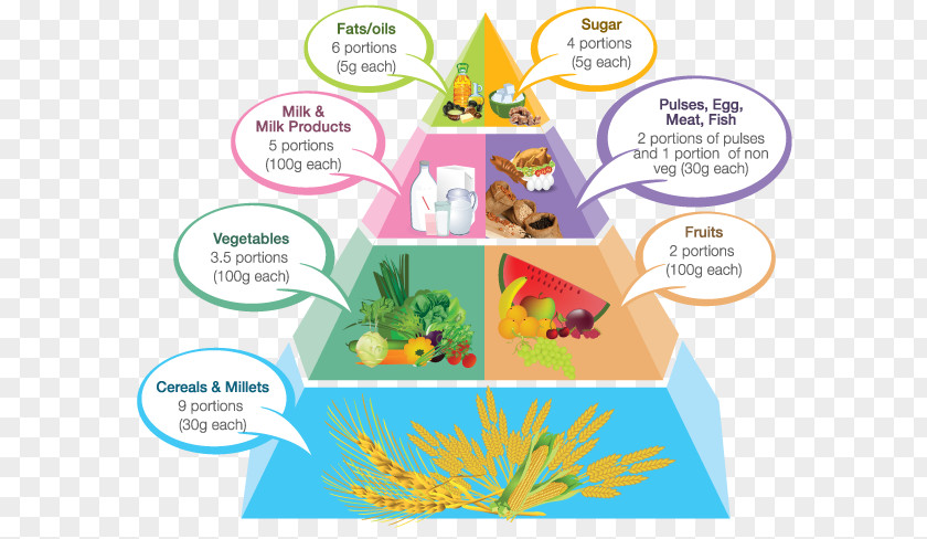 Nutritional Food Pyramid Vegetarian Cuisine Pregnancy Healthy Eating PNG