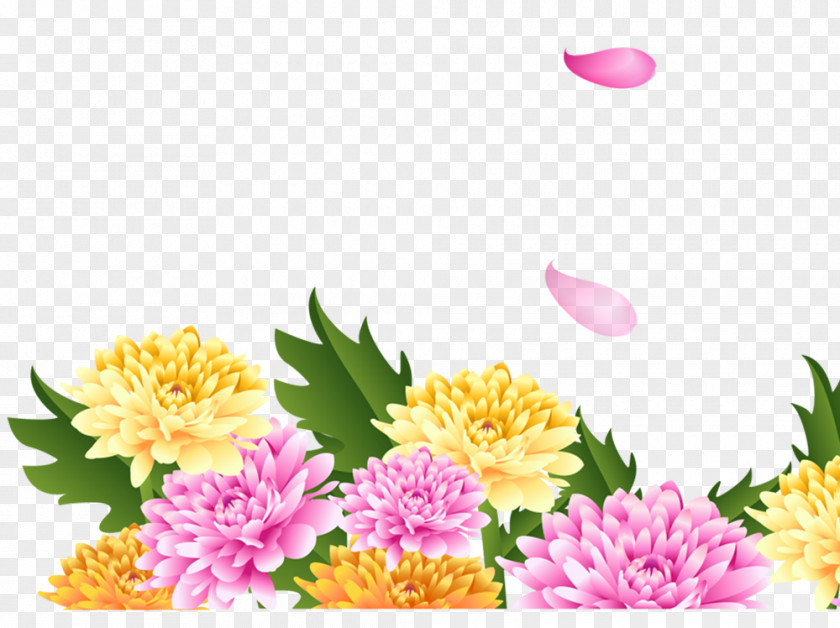 Peony Wallpaper PNG