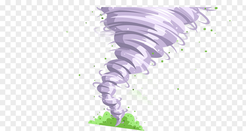 Vector Tornado Wind Cartoon PNG
