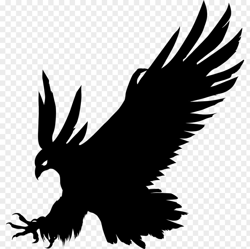 Eagle Bald Bird Silhouette Gray Wolf PNG